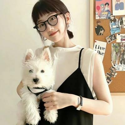 少年师爷之智慧丝路