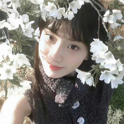 雪与熊